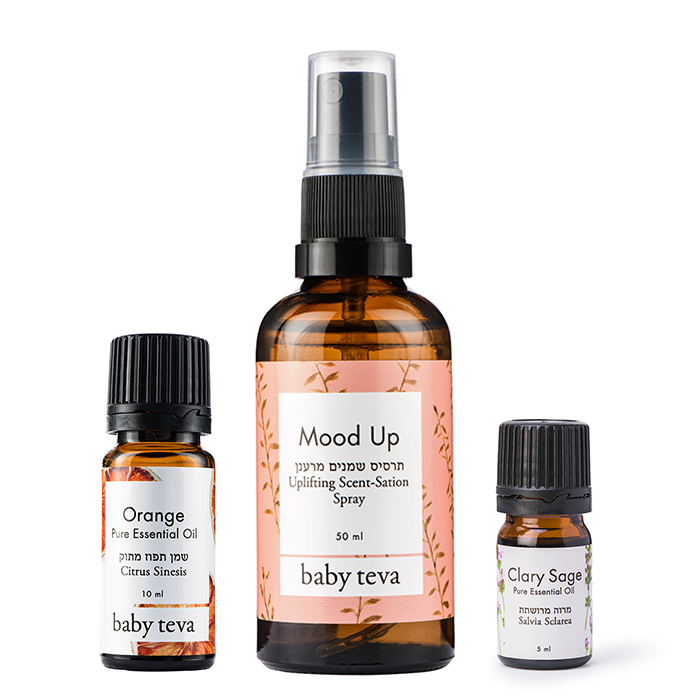 ערכה לתמיכה בלידה